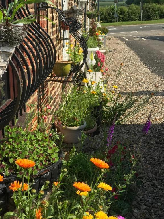 Oyo Yarm Cottages Kirklevington 外观 照片